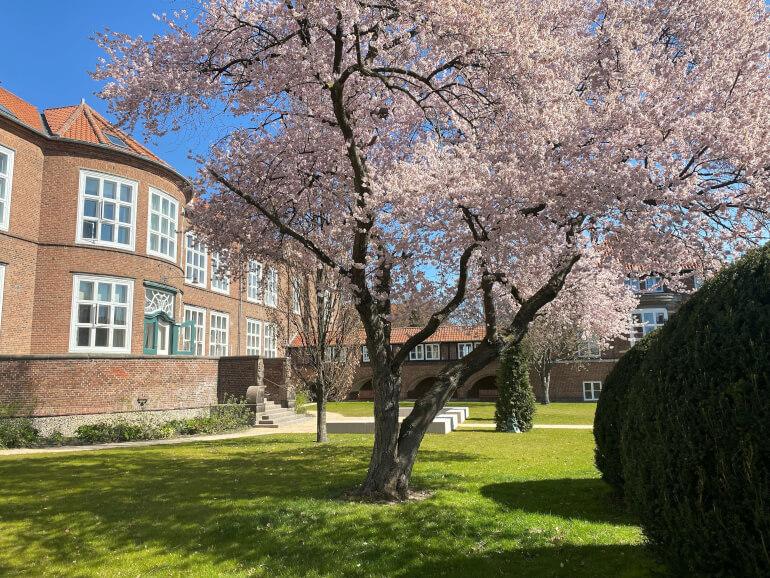 Genfødte hospitalshaver bliver åbne for alle