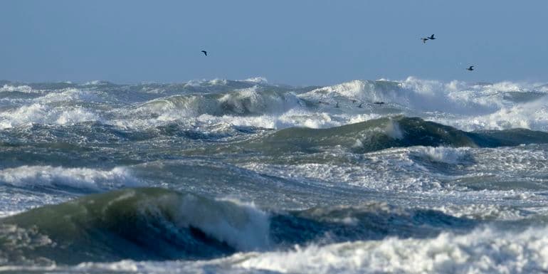 Ny rapport: Havskum var skyld i PFAS-forurening af drikkevand på Fanø