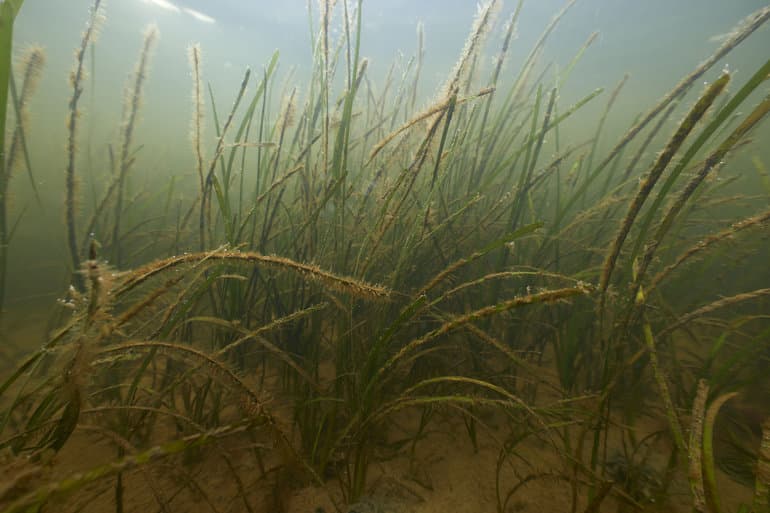 Morten Rasmussen/Ritzau Scanpix